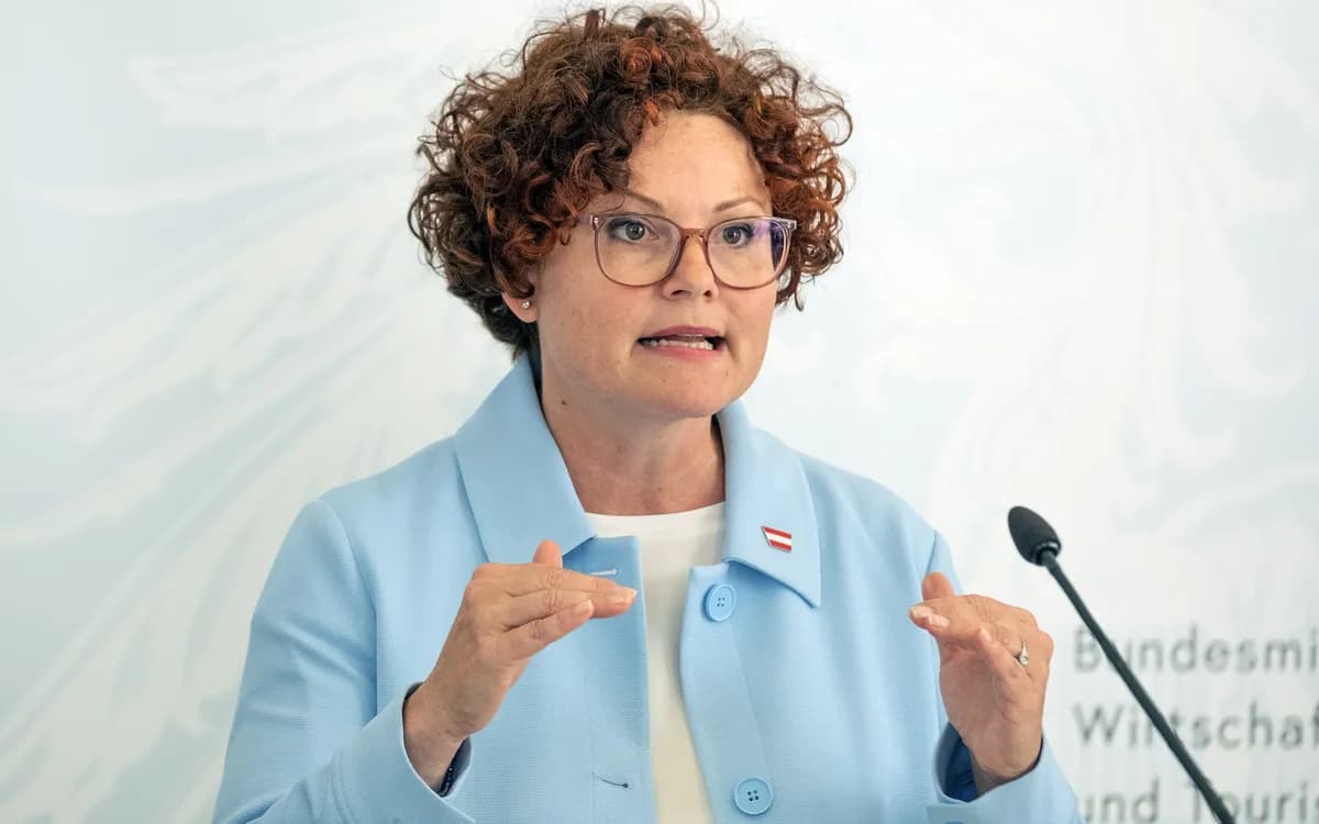 Staatssekretaerin im Bundesministerium fuer Wirtschaft, Energie und Tourismus Elisabeth Zehetner präsentiert Dachfonds