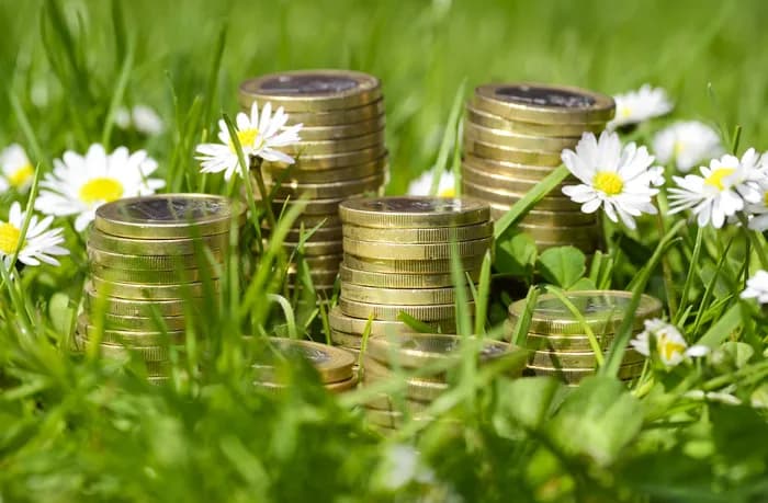 Münzen im Gras