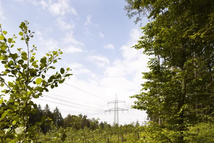 Strommast von Verbund im Grünen