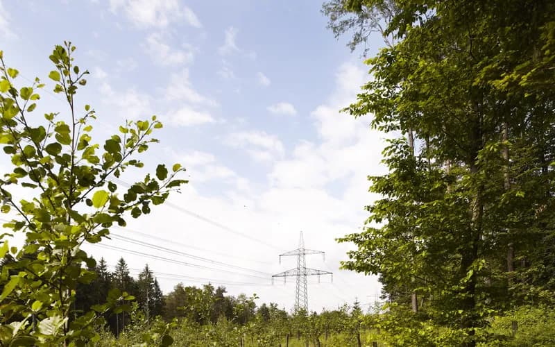 Fokus Energie - Warum sind die Kosten so hoch? Und was ist dagegen zu tun?